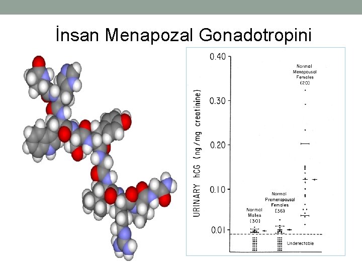 İnsan Menapozal Gonadotropini 