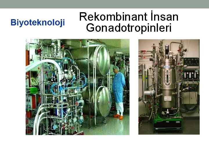 Rekombinant İnsan Gonadotropinleri 