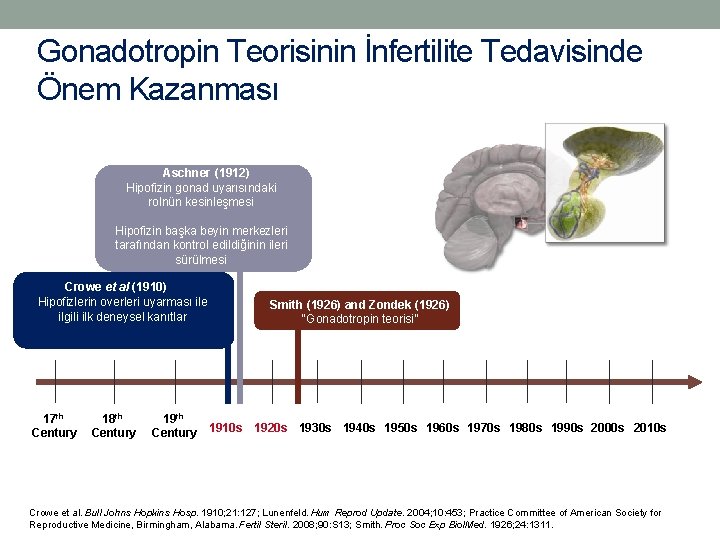 Gonadotropin Teorisinin İnfertilite Tedavisinde Önem Kazanması Aschner (1912) Hipofizin gonad uyarısındaki rolnün kesinleşmesi Hipofizin