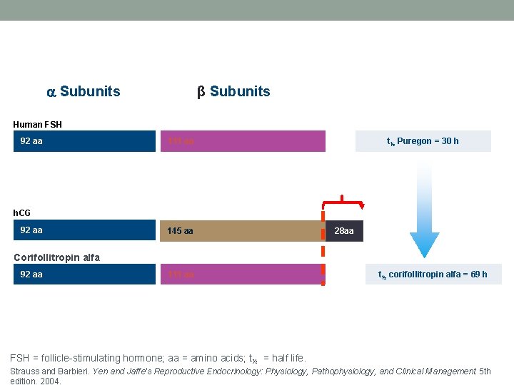 Corifollitropin alfa is a Recombinant Hormone Subunits β Subunits Human FSH 92 aa t½