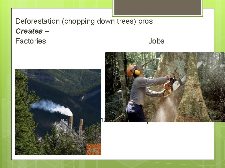 Deforestation (chopping down trees) pros Creates – Factories Jobs More money for 85% of
