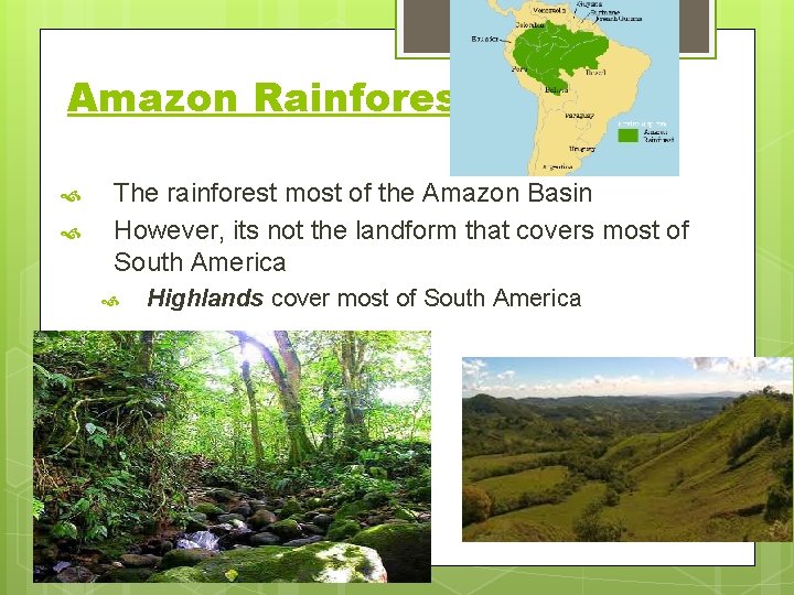 Amazon Rainforest The rainforest most of the Amazon Basin However, its not the landform