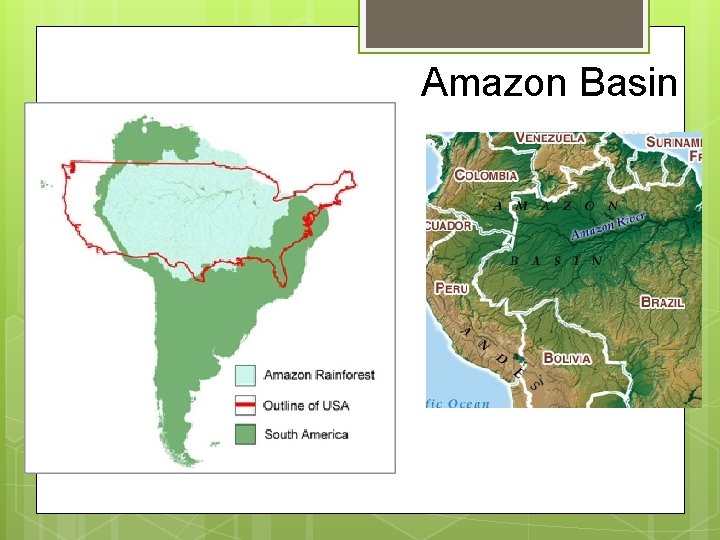 Amazon Basin 