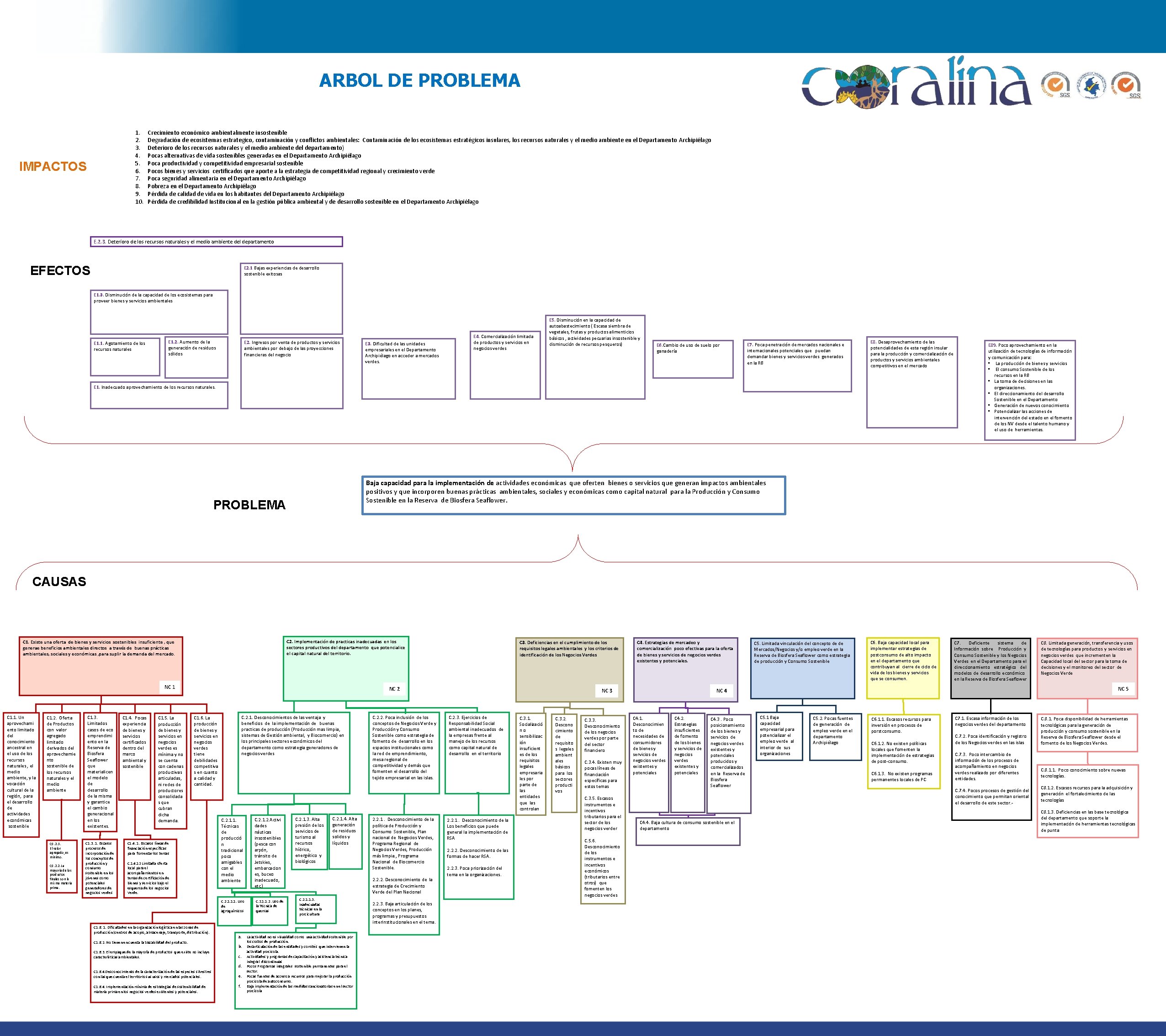 ARBOL DE PROBLEMA 1. 2. 3. 4. 5. 6. 7. 8. 9. 10. IMPACTOS