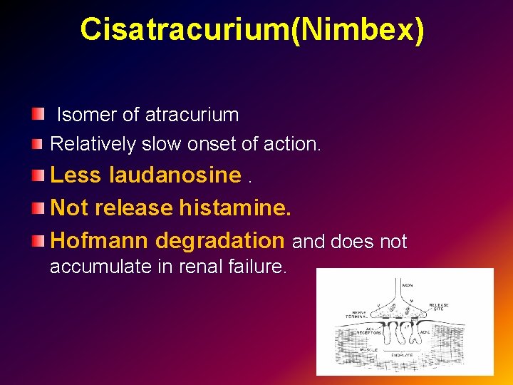 Cisatracurium(Nimbex) Isomer of atracurium Relatively slow onset of action. Less laudanosine. Not release histamine.