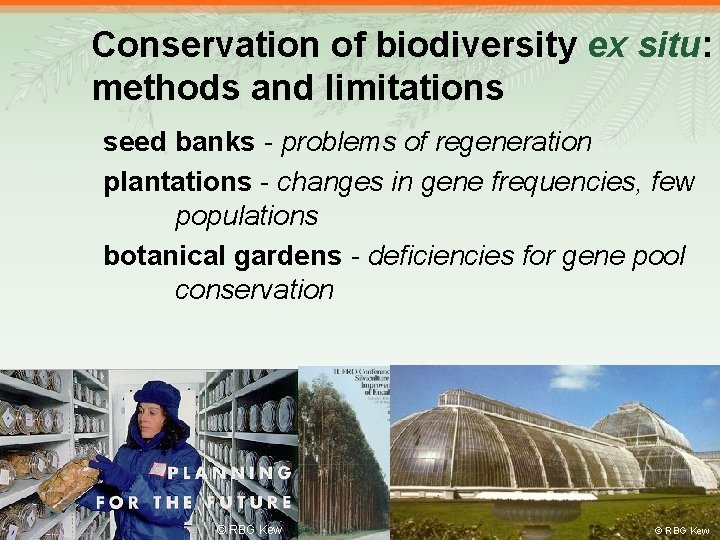 Conservation of biodiversity ex situ: methods and limitations seed banks - problems of regeneration