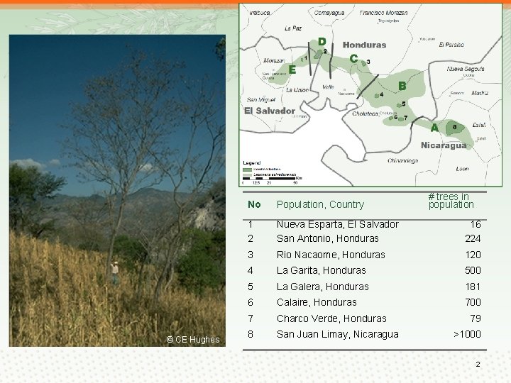 © CE Hughes # trees in population No Population, Country 1 2 Nueva Esparta,