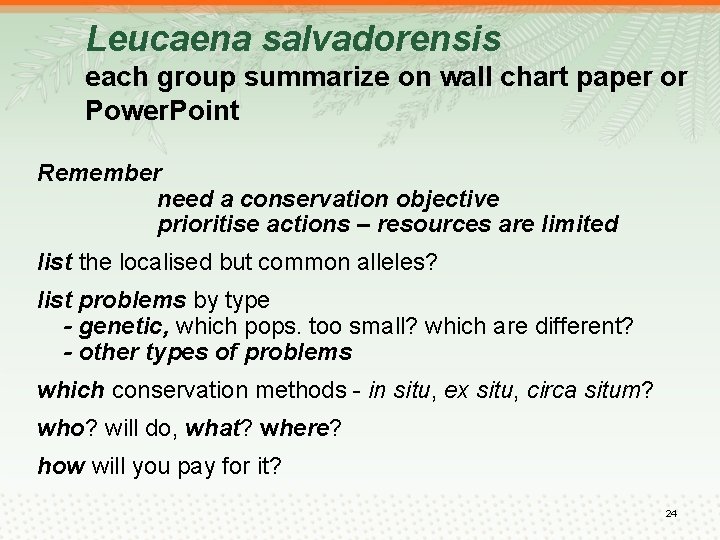 Leucaena salvadorensis each group summarize on wall chart paper or Power. Point Remember need