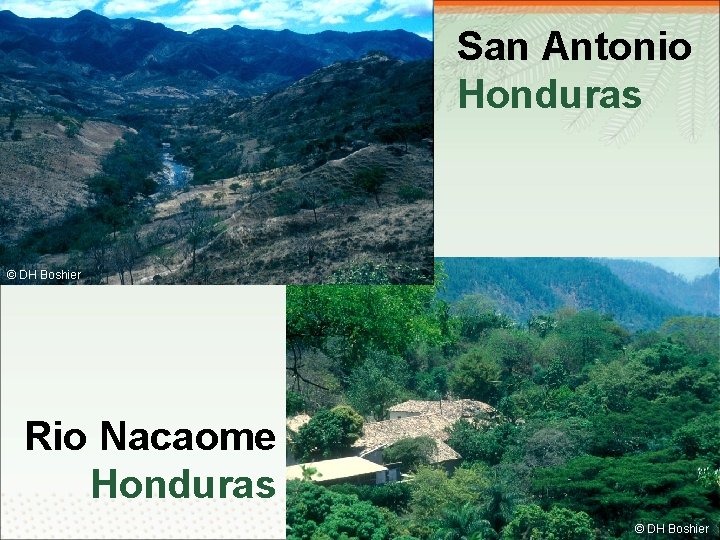 San Antonio Honduras © DH Boshier Rio Nacaome Honduras 5 © DH Boshier 