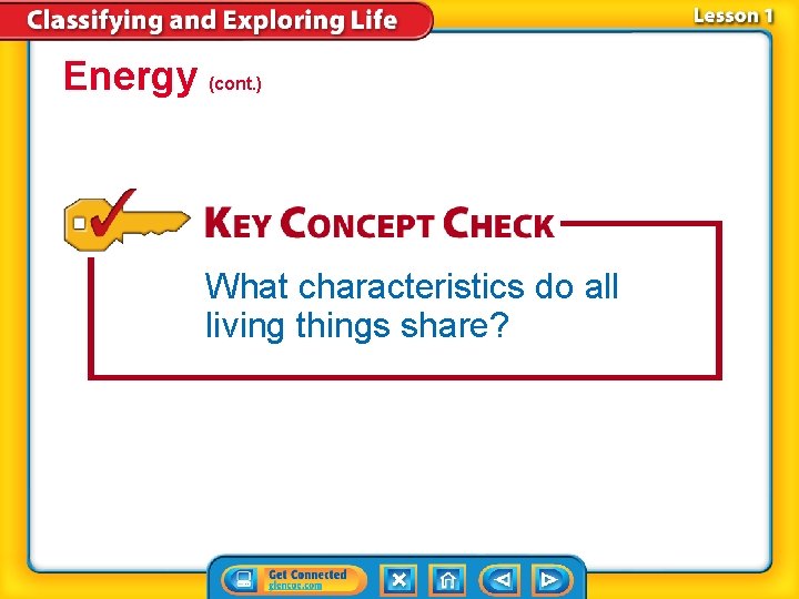 Energy (cont. ) What characteristics do all living things share? 
