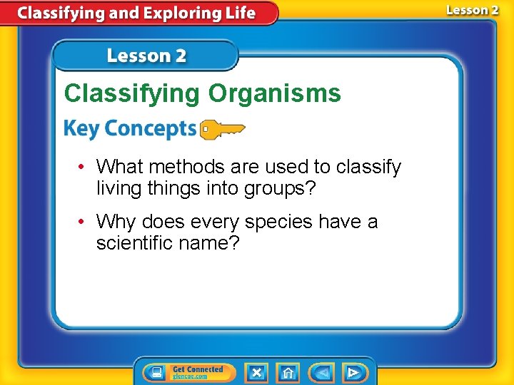 Classifying Organisms • What methods are used to classify living things into groups? •