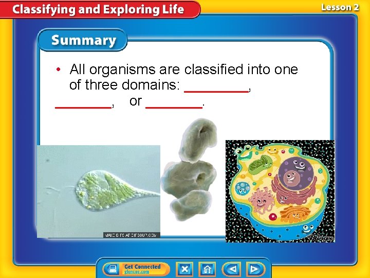  • All organisms are classified into one of three domains: ____, _______, or