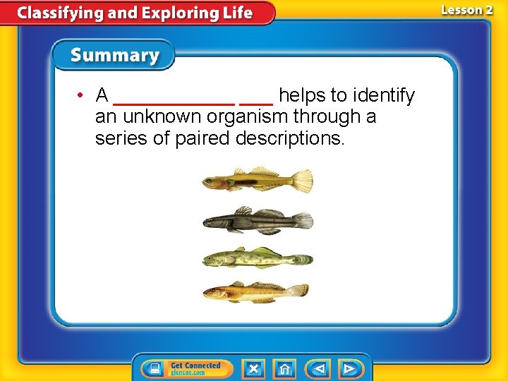  • A ______ ___ helps to identify an unknown organism through a series