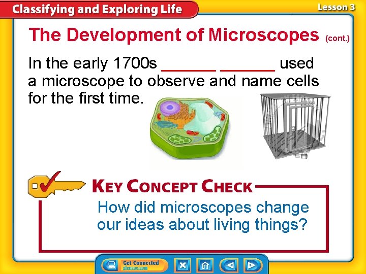 The Development of Microscopes (cont. ) In the early 1700 s ______ used a
