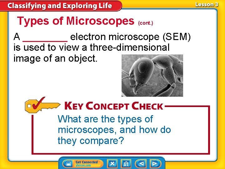 Types of Microscopes (cont. ) A ____ electron microscope (SEM) is used to view