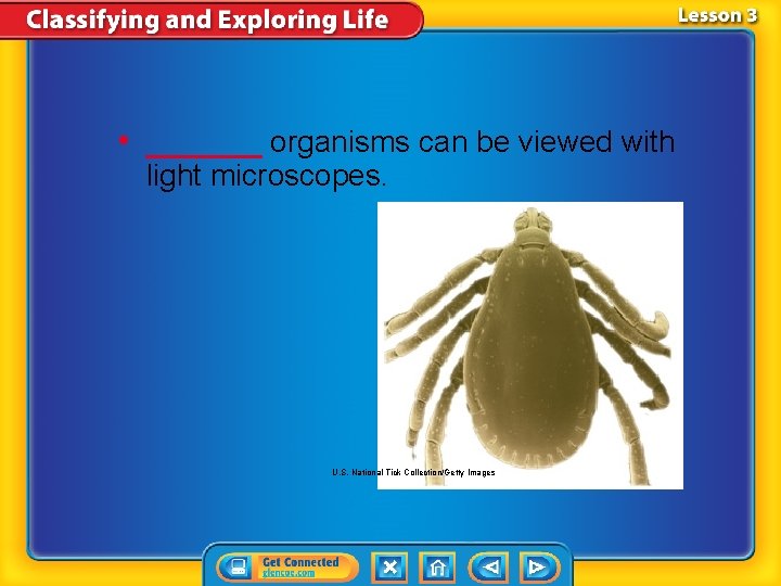  • ______ organisms can be viewed with light microscopes. U. S. National Tick