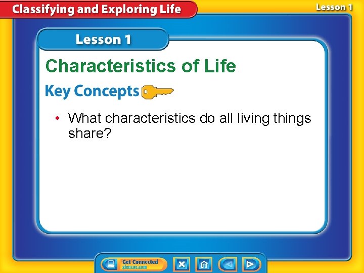 Characteristics of Life • What characteristics do all living things share? 