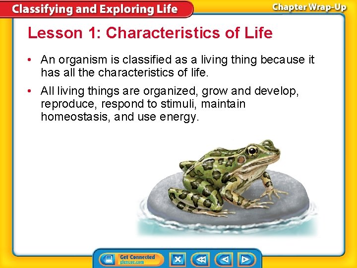 Lesson 1: Characteristics of Life • An organism is classified as a living thing