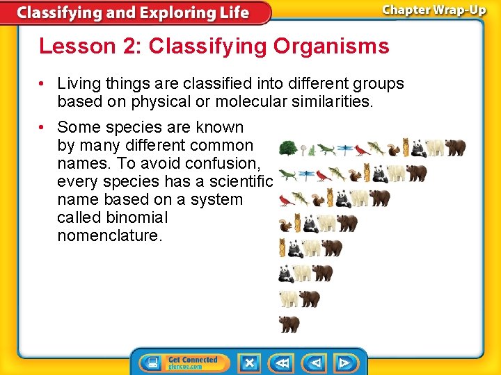 Lesson 2: Classifying Organisms • Living things are classified into different groups based on