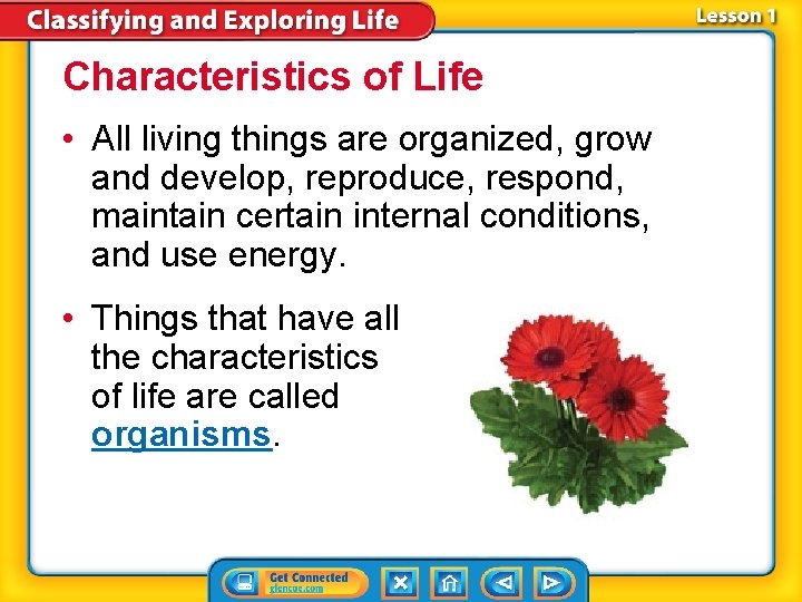 Characteristics of Life • All living things are organized, grow and develop, reproduce, respond,