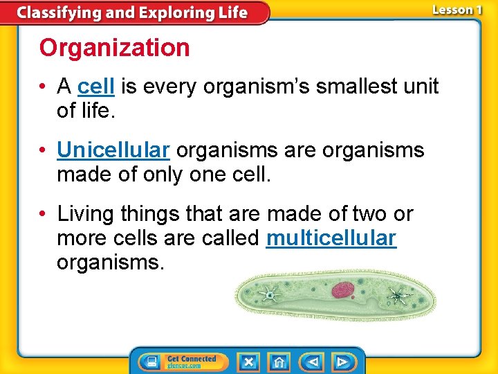 Organization • A cell is every organism’s smallest unit of life. • Unicellular organisms