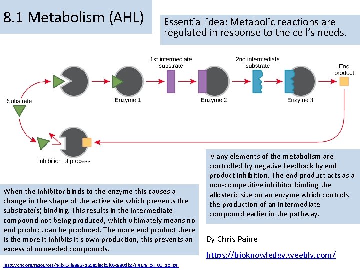 8. 1 Metabolism (AHL) Essential idea: Metabolic reactions are regulated in response to the