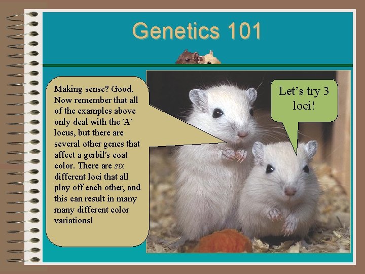 Genetics 101 Making sense? Good. Now remember that all of the examples above only