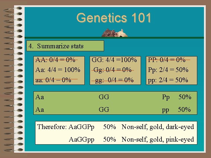 Genetics 101 4. Summarize stats AA: 0/4 = 0% Aa: 4/4 = 100% aa: