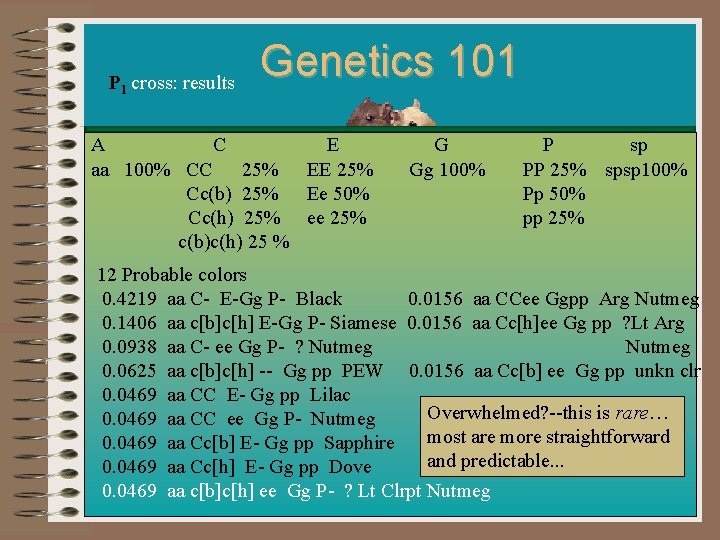 P 1 cross: results Genetics 101 A C aa 100% CC 25% Cc(b) 25%