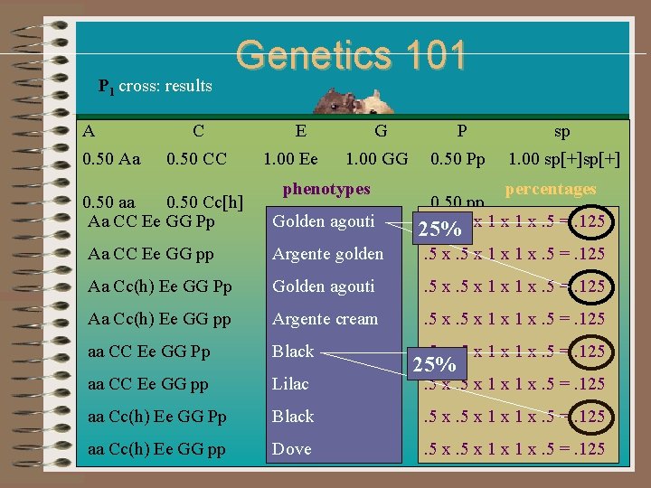P 1 cross: results A C Genetics 101 E G P sp 0. 50