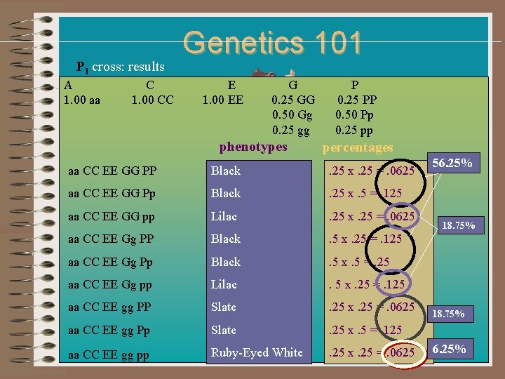 P 1 cross: results Genetics 101 A C E G P 1. 00 aa