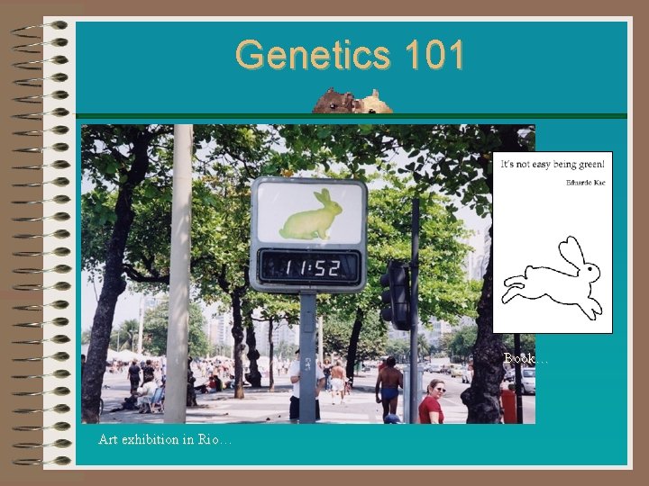 Genetics 101 Book… Art exhibition in Rio 
