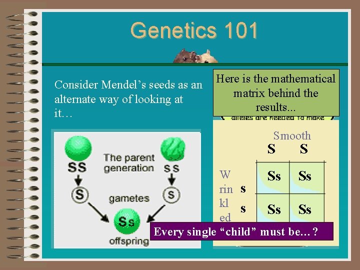 Genetics 101 Consider Mendel’s seeds as an Here is the mathematical matrix behind the