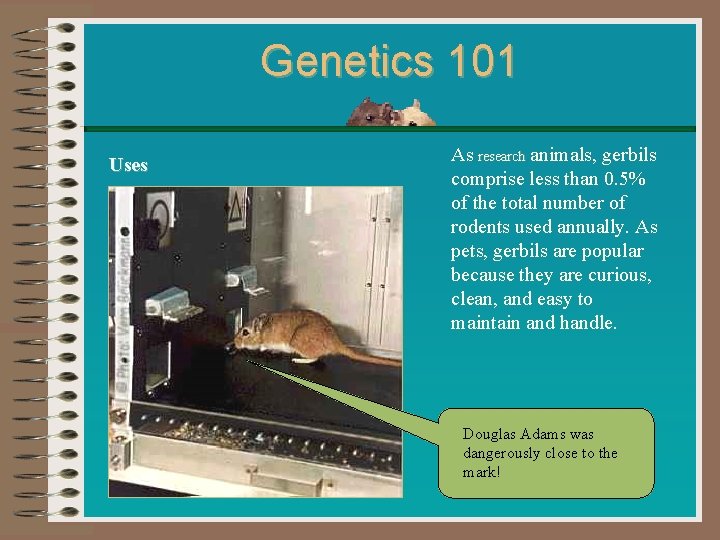 Genetics 101 Uses As research animals, gerbils comprise less than 0. 5% of the
