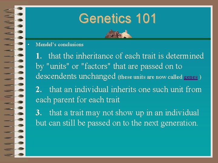 Genetics 101 • Mendel’s conclusions 1. that the inheritance of each trait is determined