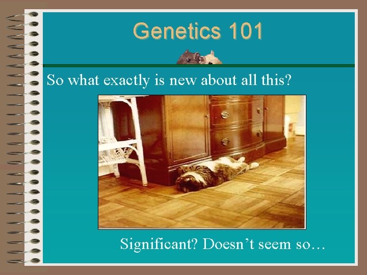 Genetics 101 So what exactly is new about all this? Significant? Doesn’t seem so…