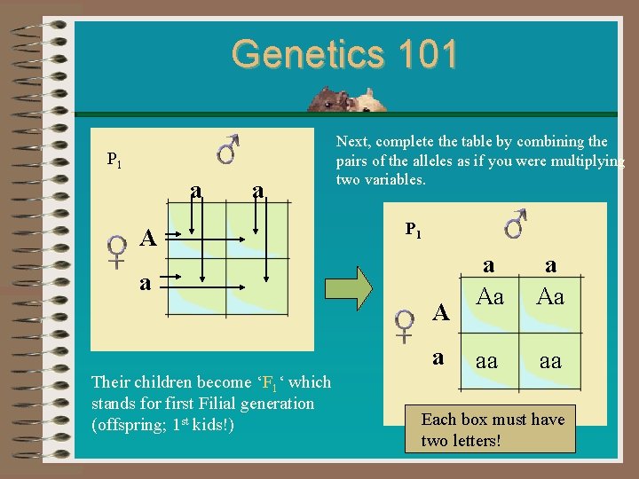Genetics 101 P 1 a a A Next, complete the table by combining the