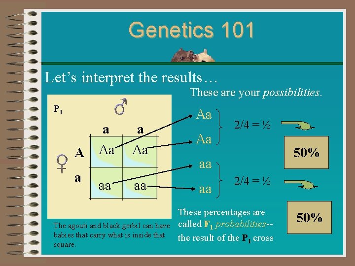 Genetics 101 Let’s interpret the results… These are your possibilities. P 1 a a