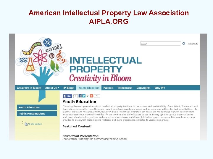 American Intellectual Property Law Association AIPLA. ORG 