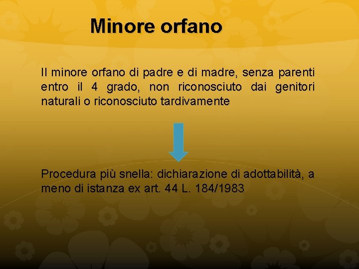 Minore orfano Il minore orfano di padre e di madre, senza parenti entro il