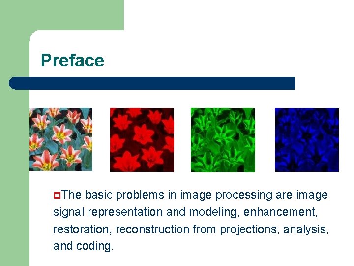 Preface p. The basic problems in image processing are image signal representation and modeling,