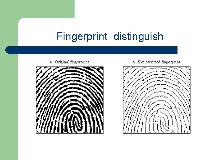 Fingerprint distinguish 