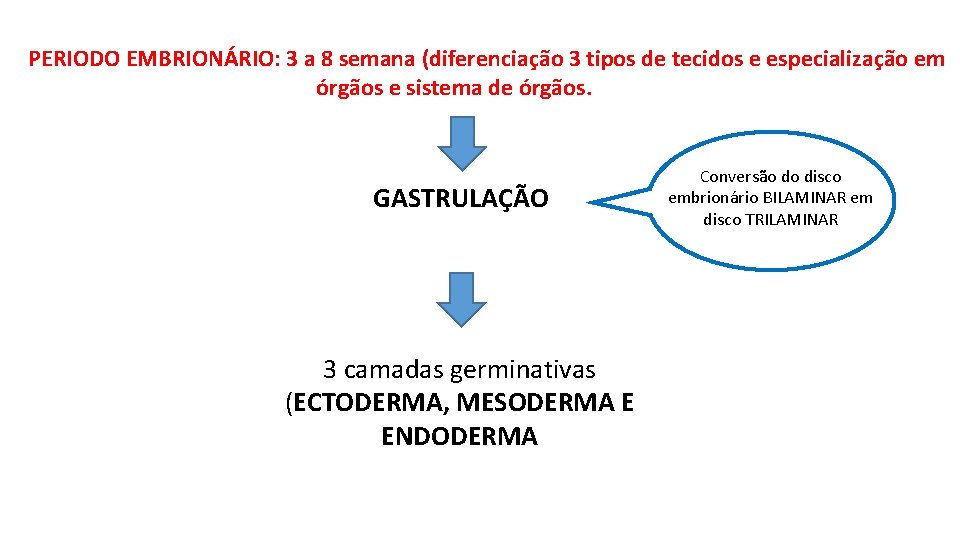 PERIODO EMBRIONÁRIO: 3 a 8 semana (diferenciação 3 tipos de tecidos e especialização em