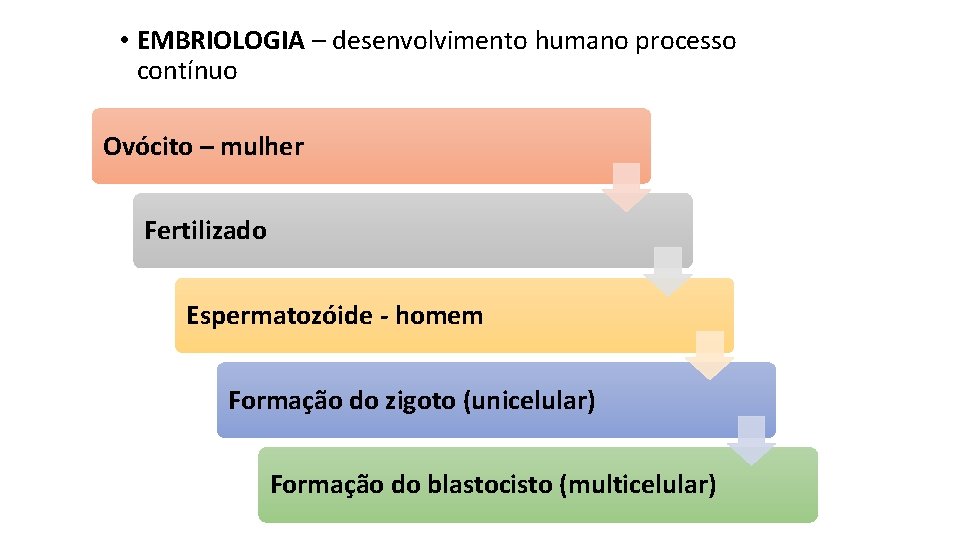  • EMBRIOLOGIA – desenvolvimento humano processo contínuo Ovócito – mulher Fertilizado Espermatozóide -