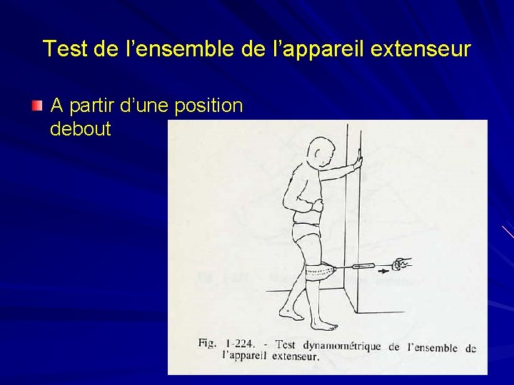 Test de l’ensemble de l’appareil extenseur A partir d’une position debout 