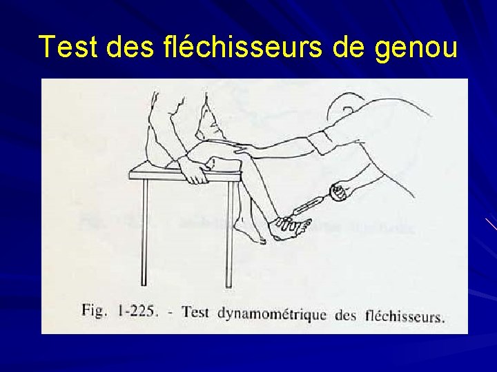 Test des fléchisseurs de genou 