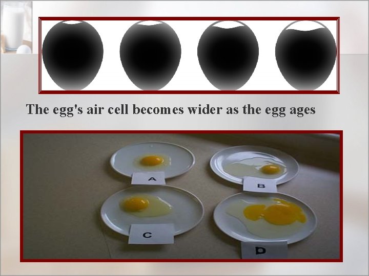 The egg's air cell becomes wider as the egg ages 