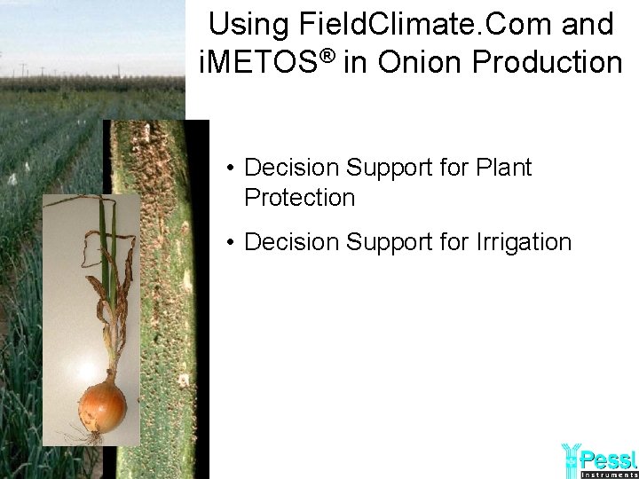 Using Field. Climate. Com and i. METOS® in Onion Production • Decision Support for