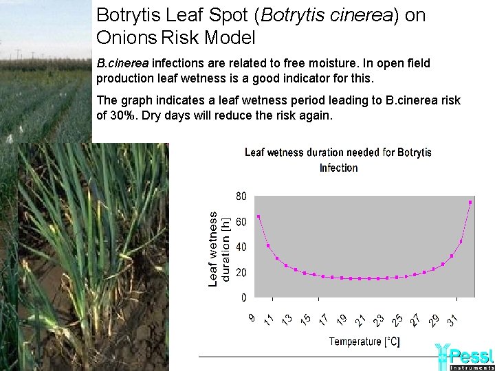 Botrytis Leaf Spot (Botrytis cinerea) on Onions Risk Model B. cinerea infections are related