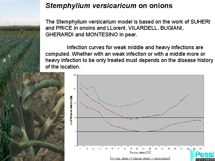 Stemphylium versicaricum on onions The Stemphylium versicarium model is based on the work of